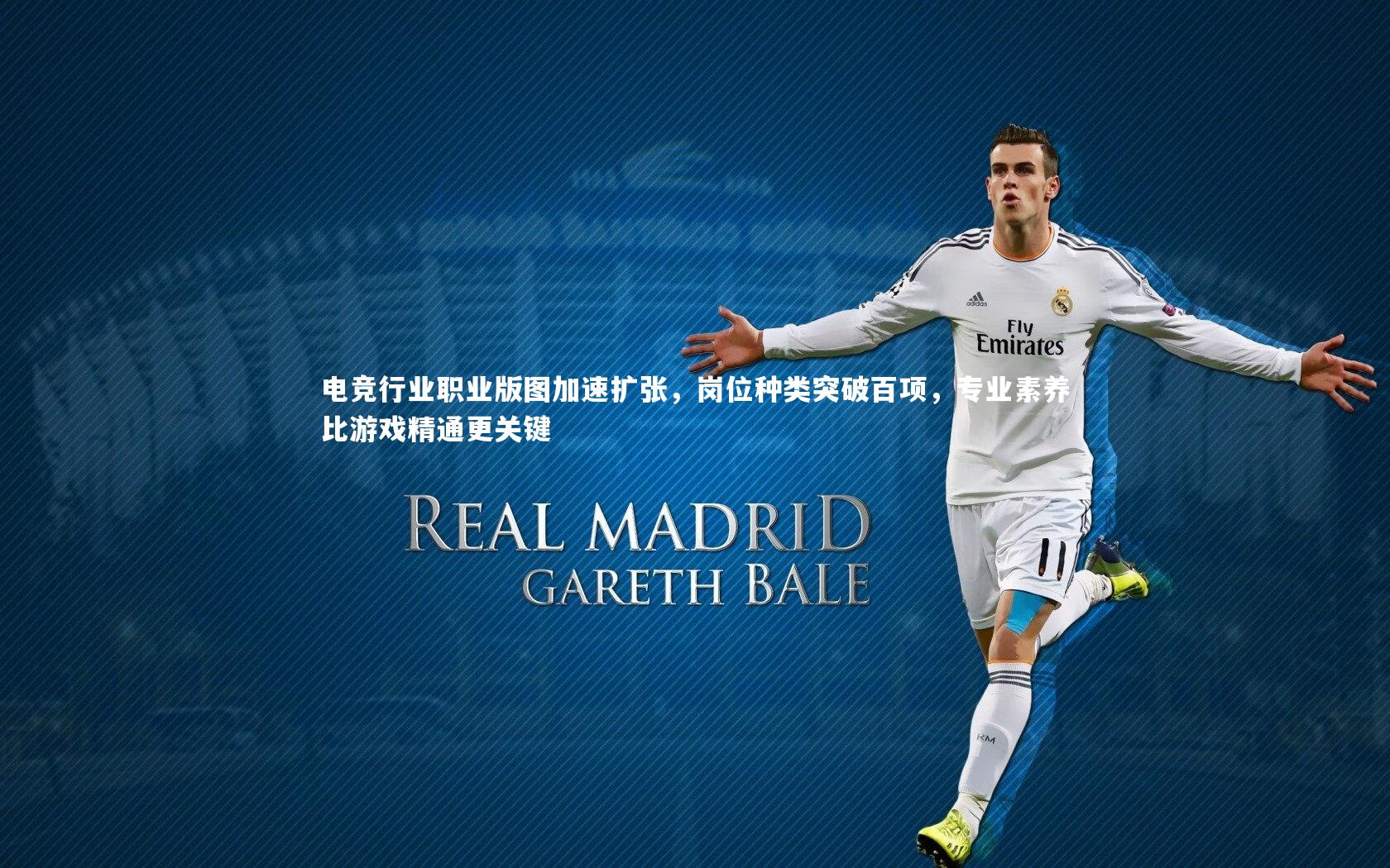 哈哈体育app-电竞行业职业版图加速扩张，岗位种类突破百项，专业素养比游戏精通更关键